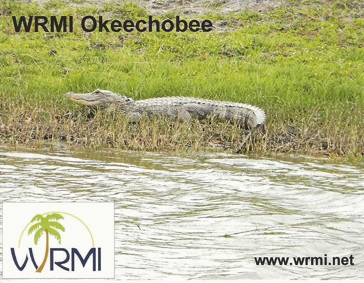 wrmi 02072015 eqsl